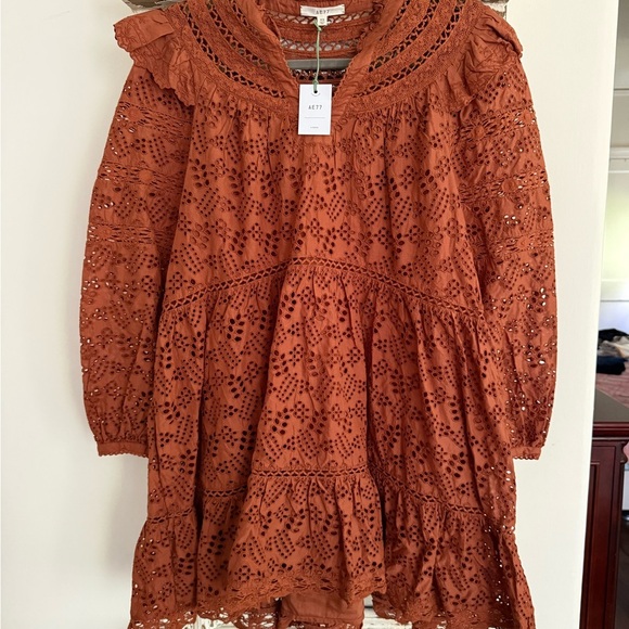 NWT American Eagle Outfitters Rust Long Sleeve Dress size XS - Picture 1 of 4